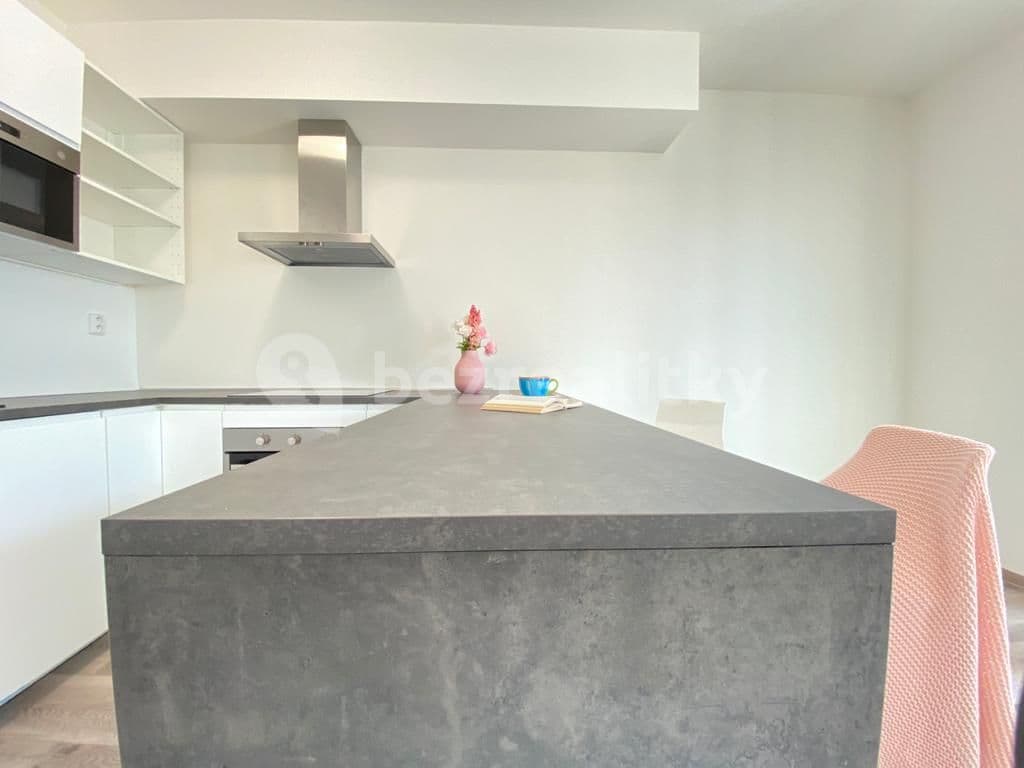 Studio flat to rent, 35 m², Bratislavská, Prague, Prague Studio flat to rent, 35 m², Bratislavská, Prague, Prague