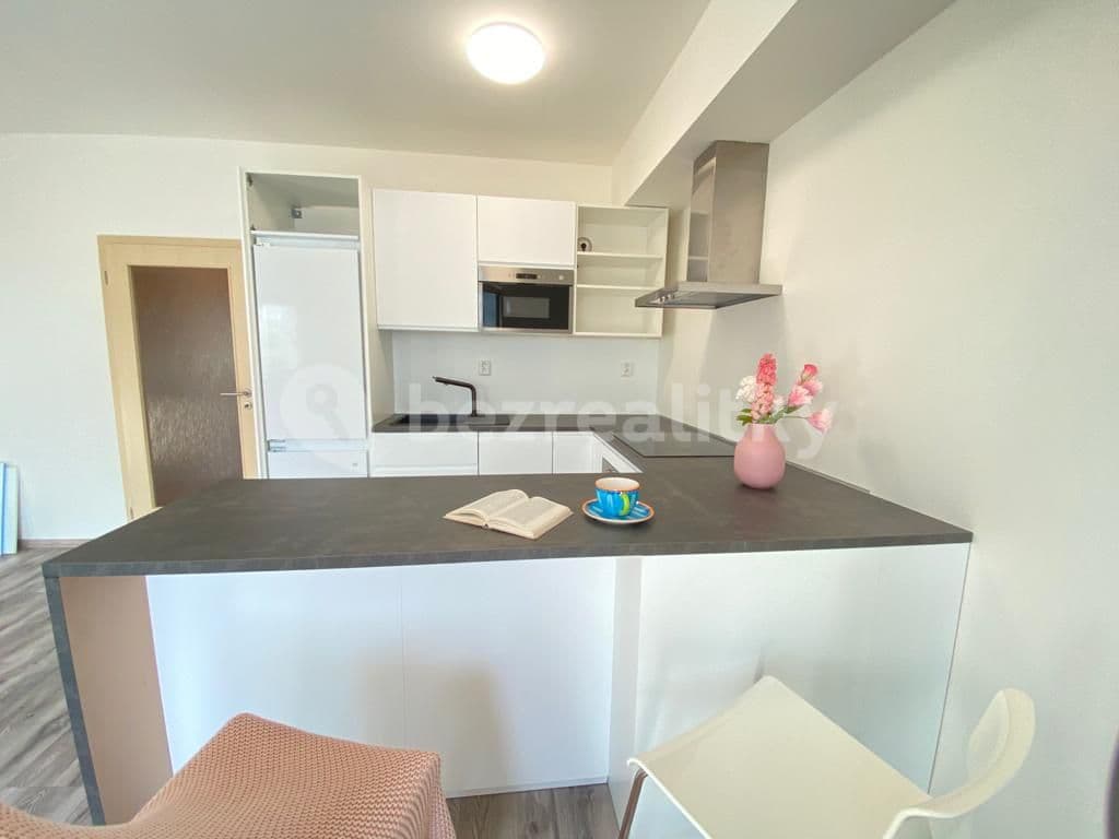 Studio flat to rent, 35 m², Bratislavská, Prague, Prague Studio flat to rent, 35 m², Bratislavská, Prague, Prague