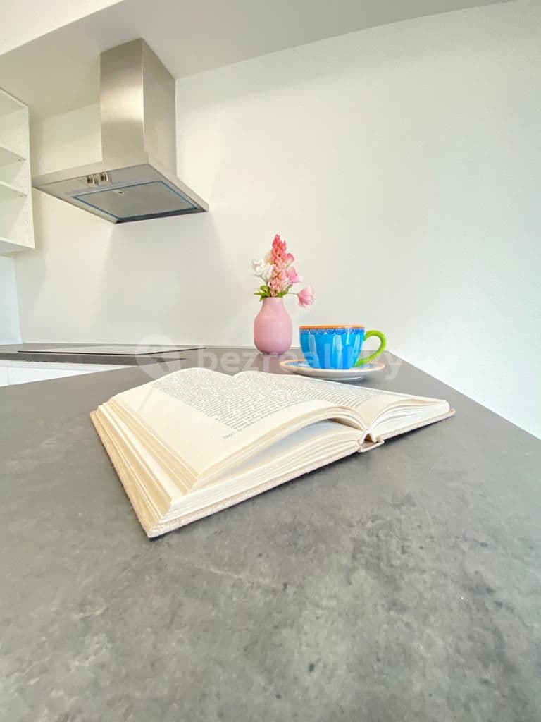 Studio flat to rent, 35 m², Bratislavská, Prague, Prague Studio flat to rent, 35 m², Bratislavská, Prague, Prague