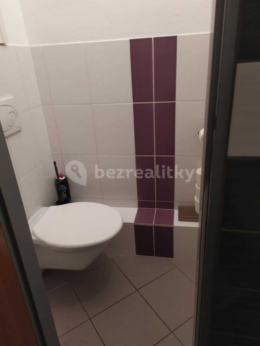 1 bedroom flat to rent, 30 m², Stará, Brno, Jihomoravský Region 1 bedroom flat to rent, 30 m², Stará, Brno, Jihomoravský Region