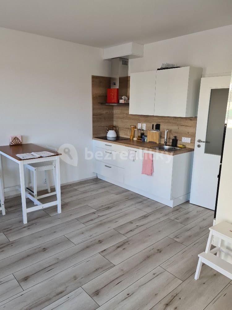 1 bedroom with open-plan kitchen flat to rent, 55 m², Na Zlaté stoce, České Budějovice, Jihočeský Region 1 bedroom with open-plan kitchen flat to rent, 55 m², Na Zlaté stoce, České Budějovice, Jihočeský Region