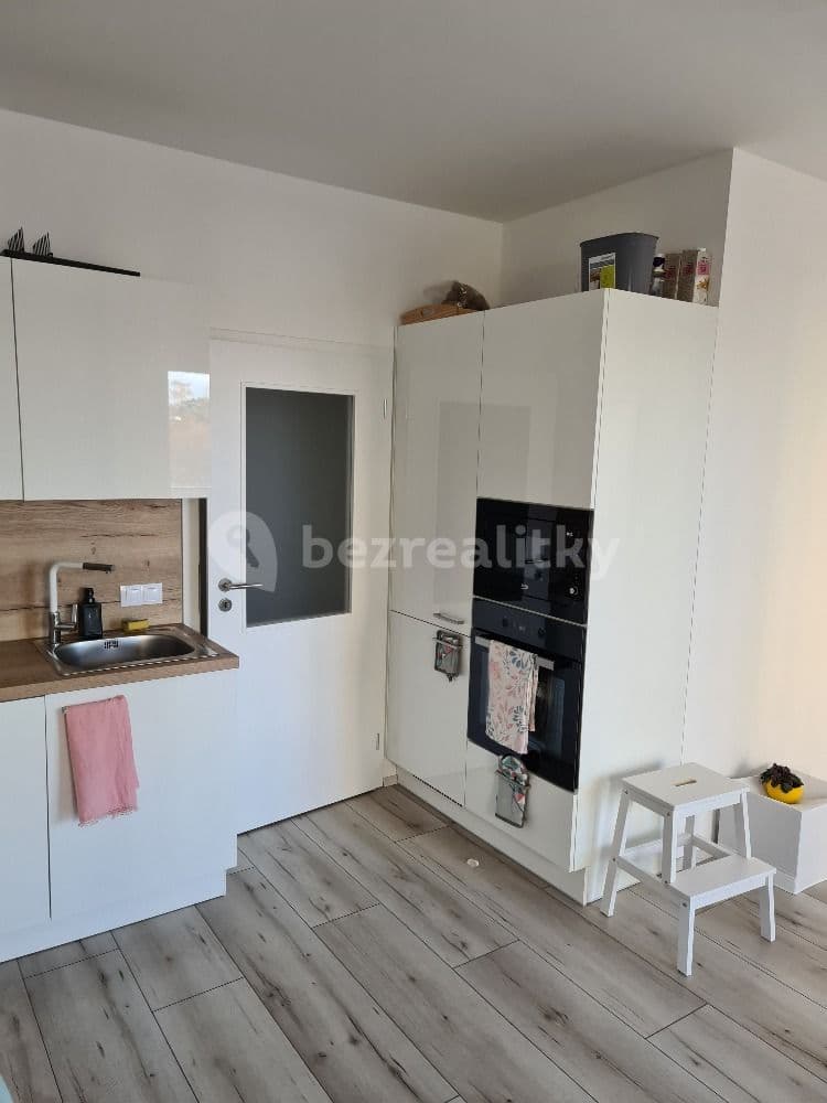 1 bedroom with open-plan kitchen flat to rent, 55 m², Na Zlaté stoce, České Budějovice, Jihočeský Region 1 bedroom with open-plan kitchen flat to rent, 55 m², Na Zlaté stoce, České Budějovice, Jihočeský Region