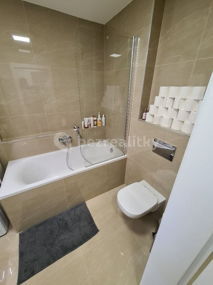 1 bedroom with open-plan kitchen flat to rent, 55 m², Na Zlaté stoce, České Budějovice, Jihočeský Region 1 bedroom with open-plan kitchen flat to rent, 55 m², Na Zlaté stoce, České Budějovice, Jihočeský Region