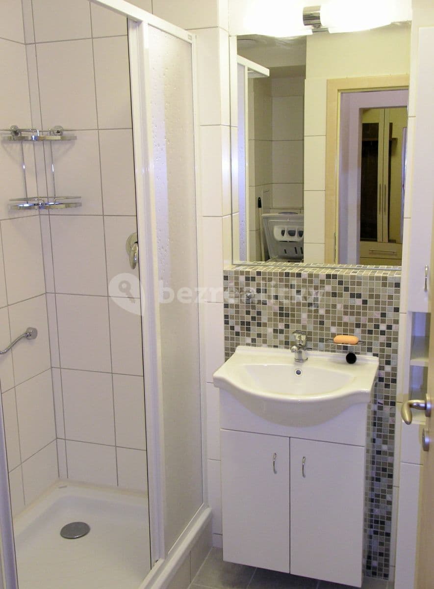 1 bedroom with open-plan kitchen flat to rent, 36 m², Šípková, Prague, Prague 1 bedroom with open-plan kitchen flat to rent, 36 m², Šípková, Prague, Prague