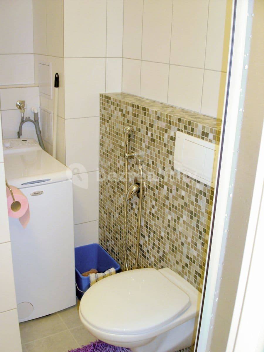 1 bedroom with open-plan kitchen flat to rent, 36 m², Šípková, Prague, Prague 1 bedroom with open-plan kitchen flat to rent, 36 m², Šípková, Prague, Prague