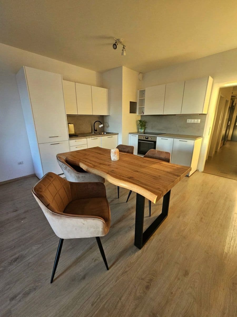 1 bedroom with open-plan kitchen flat to rent, 76 m², Škrábkových, Prague, Prague 1 bedroom with open-plan kitchen flat to rent, 76 m², Škrábkových, Prague, Prague