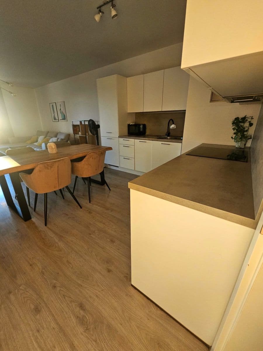 1 bedroom with open-plan kitchen flat to rent, 76 m², Škrábkových, Prague, Prague 1 bedroom with open-plan kitchen flat to rent, 76 m², Škrábkových, Prague, Prague