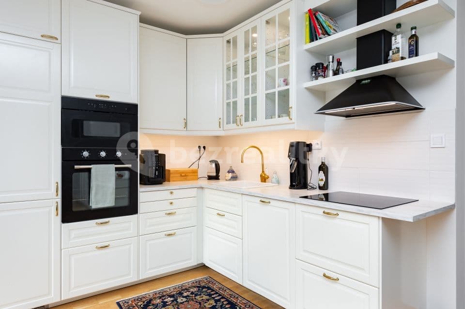 1 bedroom with open-plan kitchen flat to rent, 60 m², Holečkova, Prague, Prague 1 bedroom with open-plan kitchen flat to rent, 60 m², Holečkova, Prague, Prague