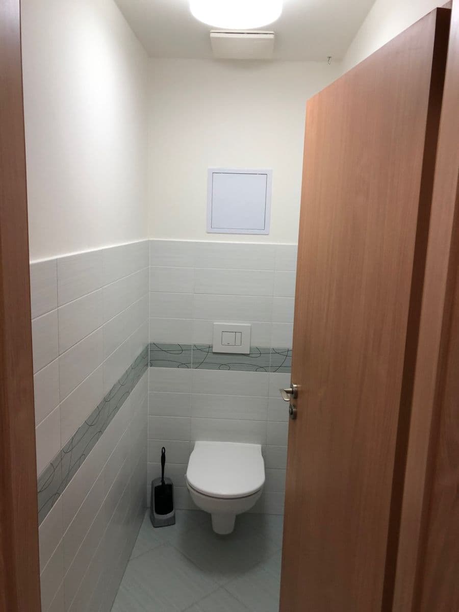 1 bedroom with open-plan kitchen flat to rent, 56 m², U Slovanky, Prague, Prague 1 bedroom with open-plan kitchen flat to rent, 56 m², U Slovanky, Prague, Prague