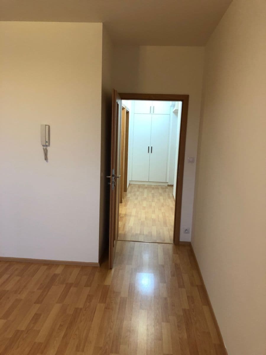 1 bedroom with open-plan kitchen flat to rent, 56 m², U Slovanky, Prague, Prague 1 bedroom with open-plan kitchen flat to rent, 56 m², U Slovanky, Prague, Prague