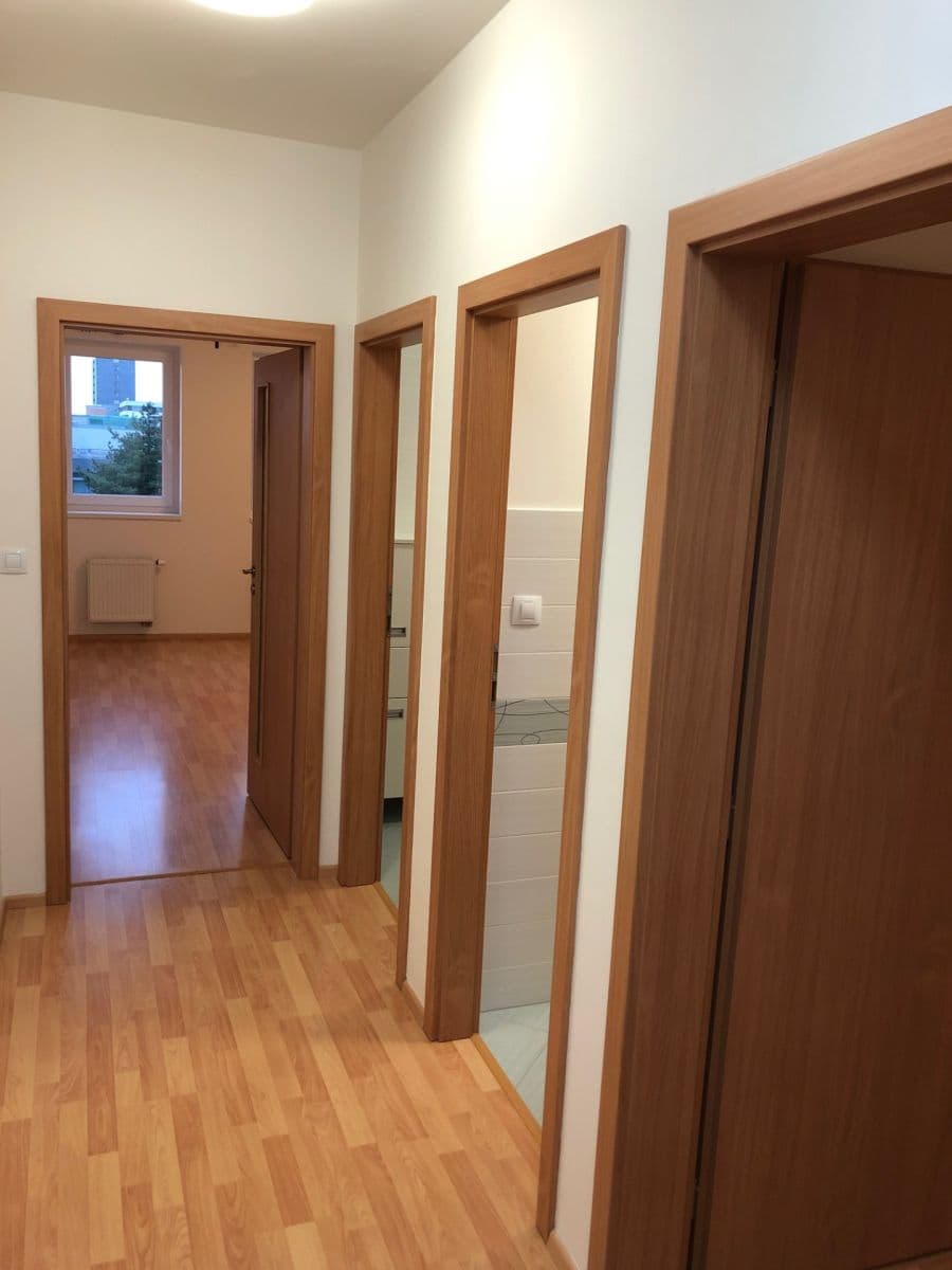 1 bedroom with open-plan kitchen flat to rent, 56 m², U Slovanky, Prague, Prague 1 bedroom with open-plan kitchen flat to rent, 56 m², U Slovanky, Prague, Prague