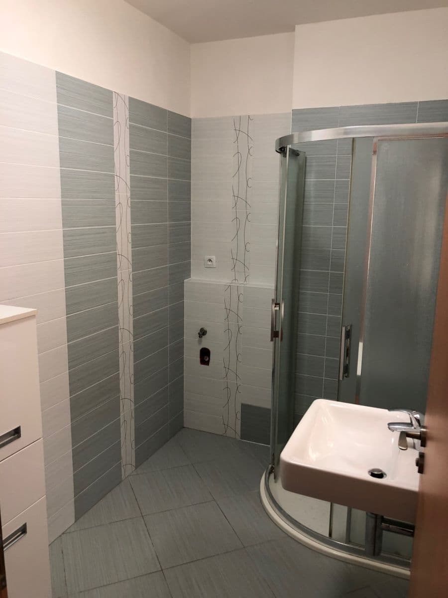 1 bedroom with open-plan kitchen flat to rent, 56 m², U Slovanky, Prague, Prague 1 bedroom with open-plan kitchen flat to rent, 56 m², U Slovanky, Prague, Prague