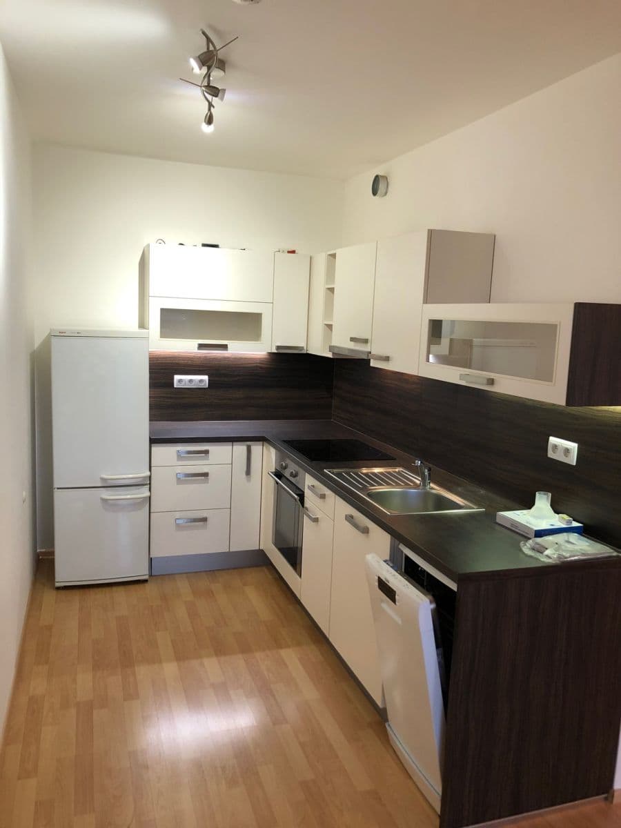 1 bedroom with open-plan kitchen flat to rent, 56 m², U Slovanky, Prague, Prague 1 bedroom with open-plan kitchen flat to rent, 56 m², U Slovanky, Prague, Prague