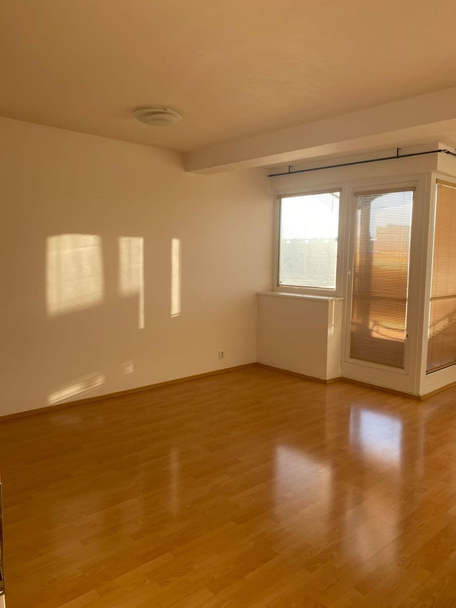 3 bedroom with open-plan kitchen flat to rent, 110 m², Prague, Prague 3 bedroom with open-plan kitchen flat to rent, 110 m², Prague, Prague