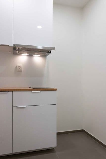 Studio flat to rent, 24 m², Kouřimská, Prague, Prague Studio flat to rent, 24 m², Kouřimská, Prague, Prague