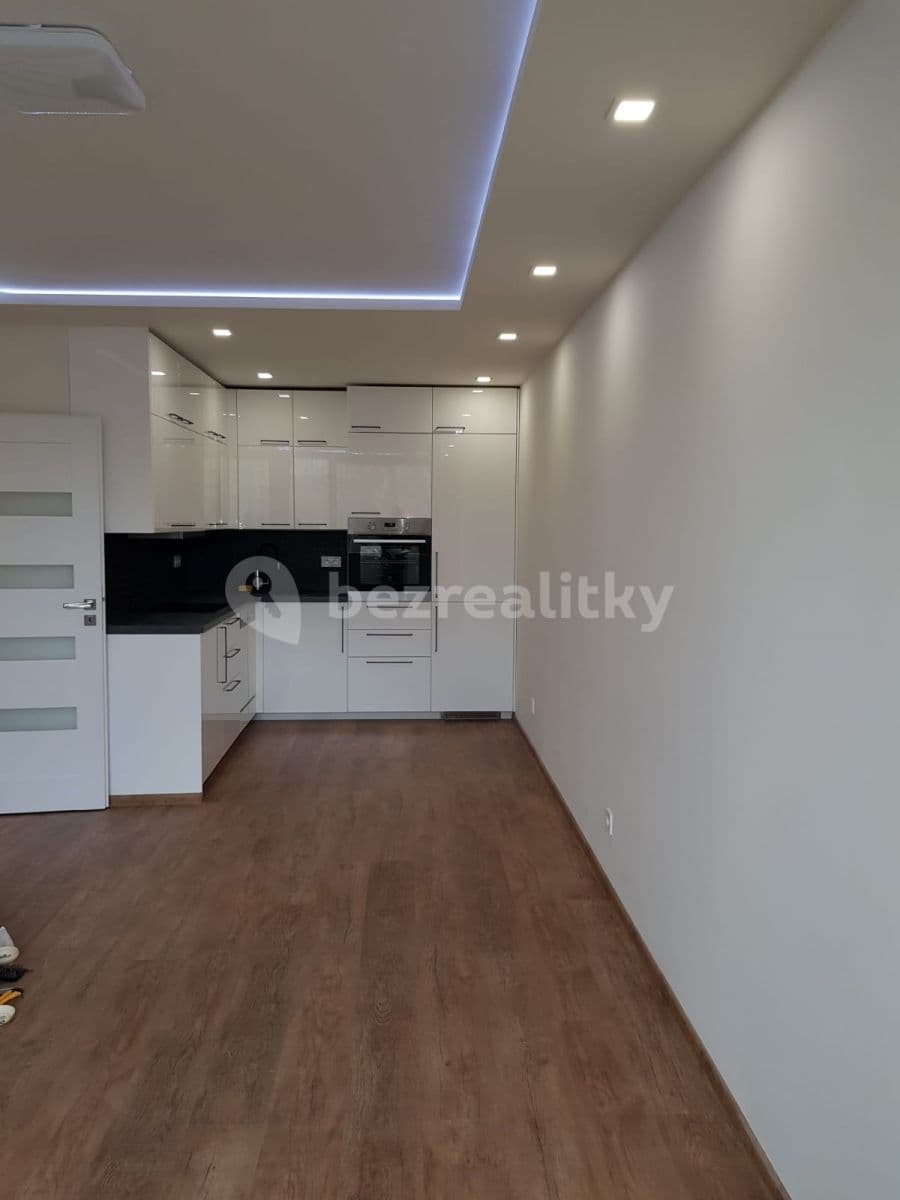 1 bedroom with open-plan kitchen flat to rent, 45 m², Nevanova, Prague, Prague 1 bedroom with open-plan kitchen flat to rent, 45 m², Nevanova, Prague, Prague