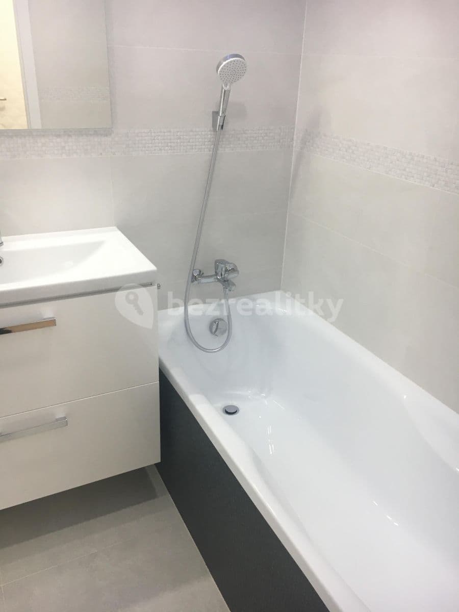 1 bedroom with open-plan kitchen flat to rent, 45 m², Nevanova, Prague, Prague 1 bedroom with open-plan kitchen flat to rent, 45 m², Nevanova, Prague, Prague