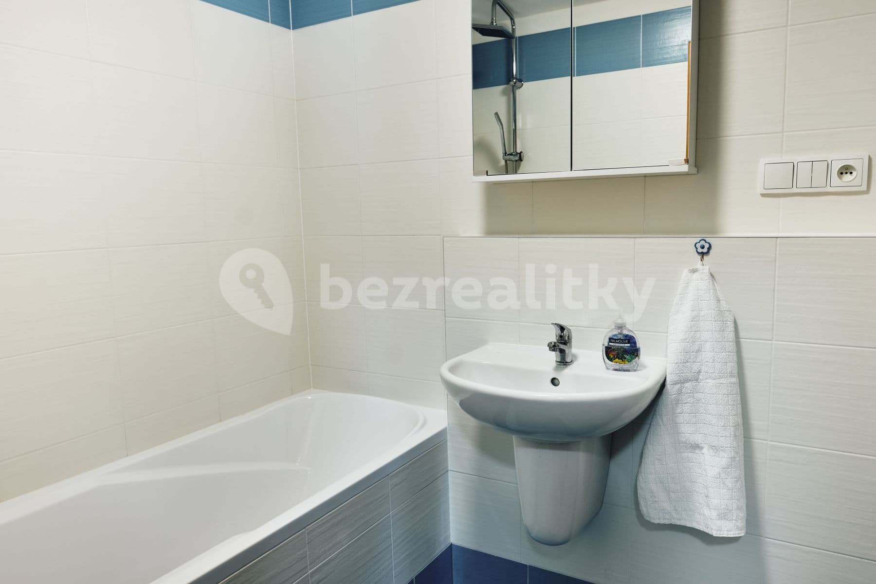 1 bedroom with open-plan kitchen flat to rent, 49 m², Rychtáře Petříka, Prague, Prague 1 bedroom with open-plan kitchen flat to rent, 49 m², Rychtáře Petříka, Prague, Prague