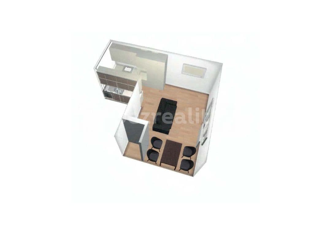 1 bedroom with open-plan kitchen flat to rent, 49 m², Rychtáře Petříka, Prague, Prague 1 bedroom with open-plan kitchen flat to rent, 49 m², Rychtáře Petříka, Prague, Prague