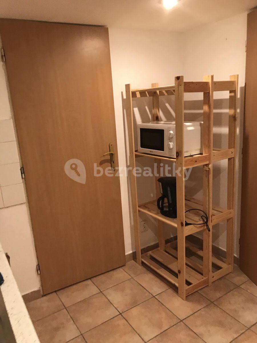 1 bedroom with open-plan kitchen flat to rent, 60 m², Böhmova, Brno, Jihomoravský Region