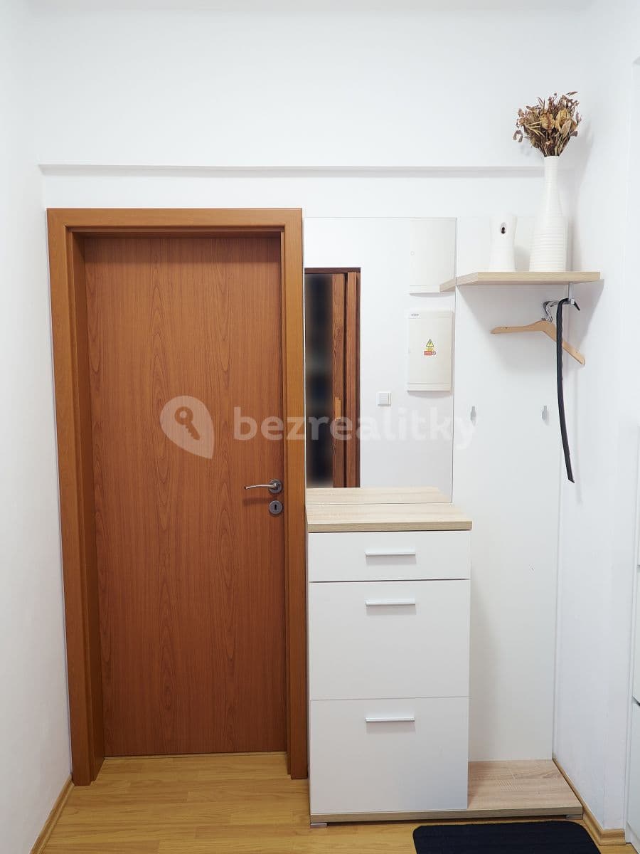1 bedroom with open-plan kitchen flat to rent, 40 m², Luštěnická, Prague, Prague 1 bedroom with open-plan kitchen flat to rent, 40 m², Luštěnická, Prague, Prague