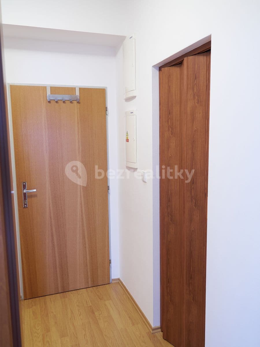 1 bedroom with open-plan kitchen flat to rent, 40 m², Luštěnická, Prague, Prague 1 bedroom with open-plan kitchen flat to rent, 40 m², Luštěnická, Prague, Prague