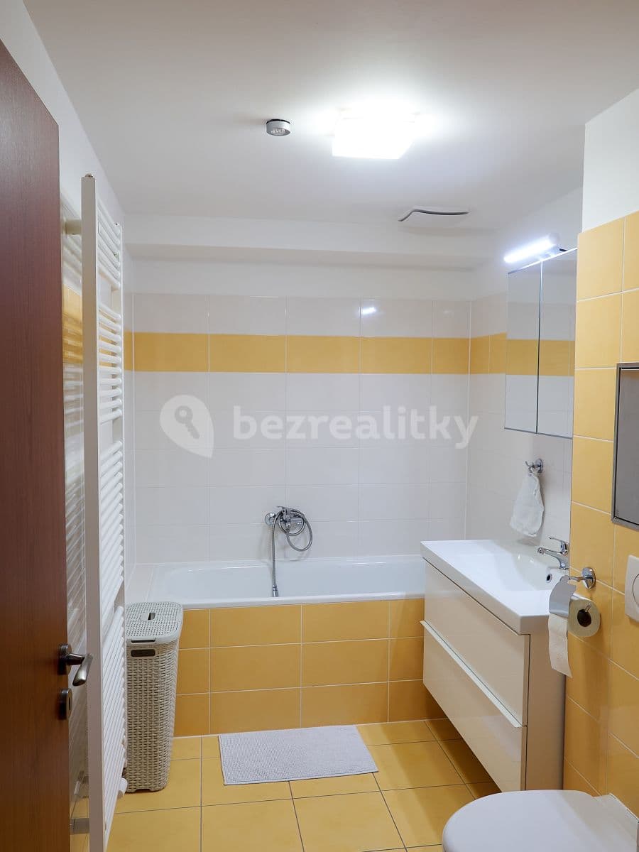 1 bedroom with open-plan kitchen flat to rent, 40 m², Luštěnická, Prague, Prague 1 bedroom with open-plan kitchen flat to rent, 40 m², Luštěnická, Prague, Prague