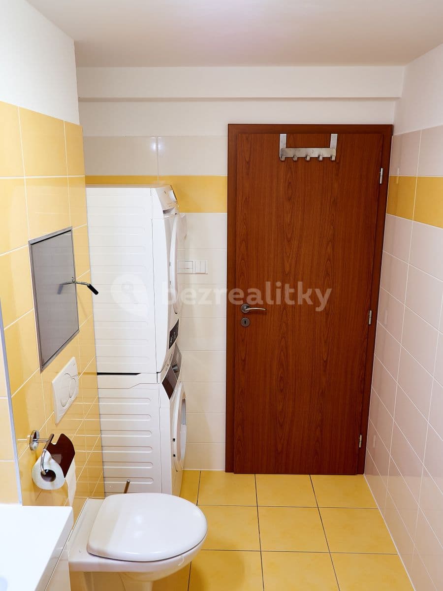 1 bedroom with open-plan kitchen flat to rent, 40 m², Luštěnická, Prague, Prague 1 bedroom with open-plan kitchen flat to rent, 40 m², Luštěnická, Prague, Prague