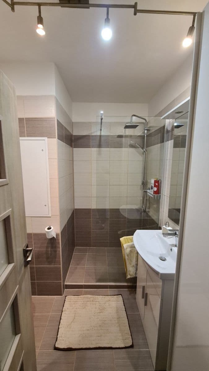 1 bedroom with open-plan kitchen flat to rent, 41 m², Šimůnkova, Prague, Prague 1 bedroom with open-plan kitchen flat to rent, 41 m², Šimůnkova, Prague, Prague