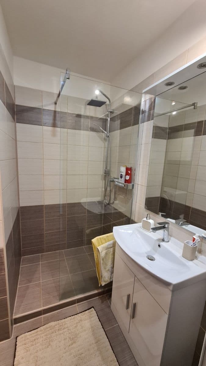1 bedroom with open-plan kitchen flat to rent, 41 m², Šimůnkova, Prague, Prague 1 bedroom with open-plan kitchen flat to rent, 41 m², Šimůnkova, Prague, Prague