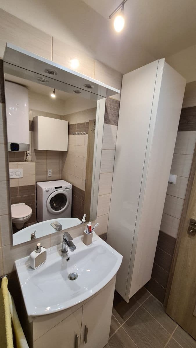 1 bedroom with open-plan kitchen flat to rent, 41 m², Šimůnkova, Prague, Prague 1 bedroom with open-plan kitchen flat to rent, 41 m², Šimůnkova, Prague, Prague