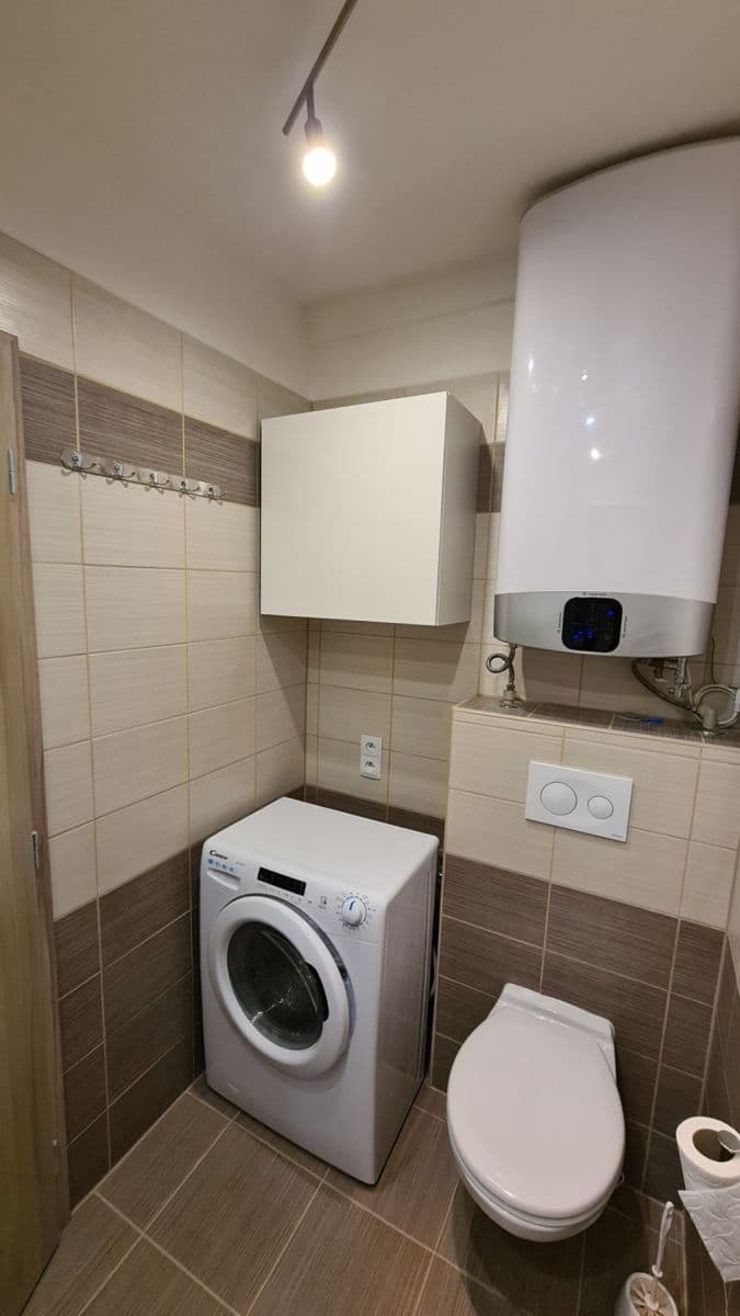 1 bedroom with open-plan kitchen flat to rent, 41 m², Šimůnkova, Prague, Prague 1 bedroom with open-plan kitchen flat to rent, 41 m², Šimůnkova, Prague, Prague