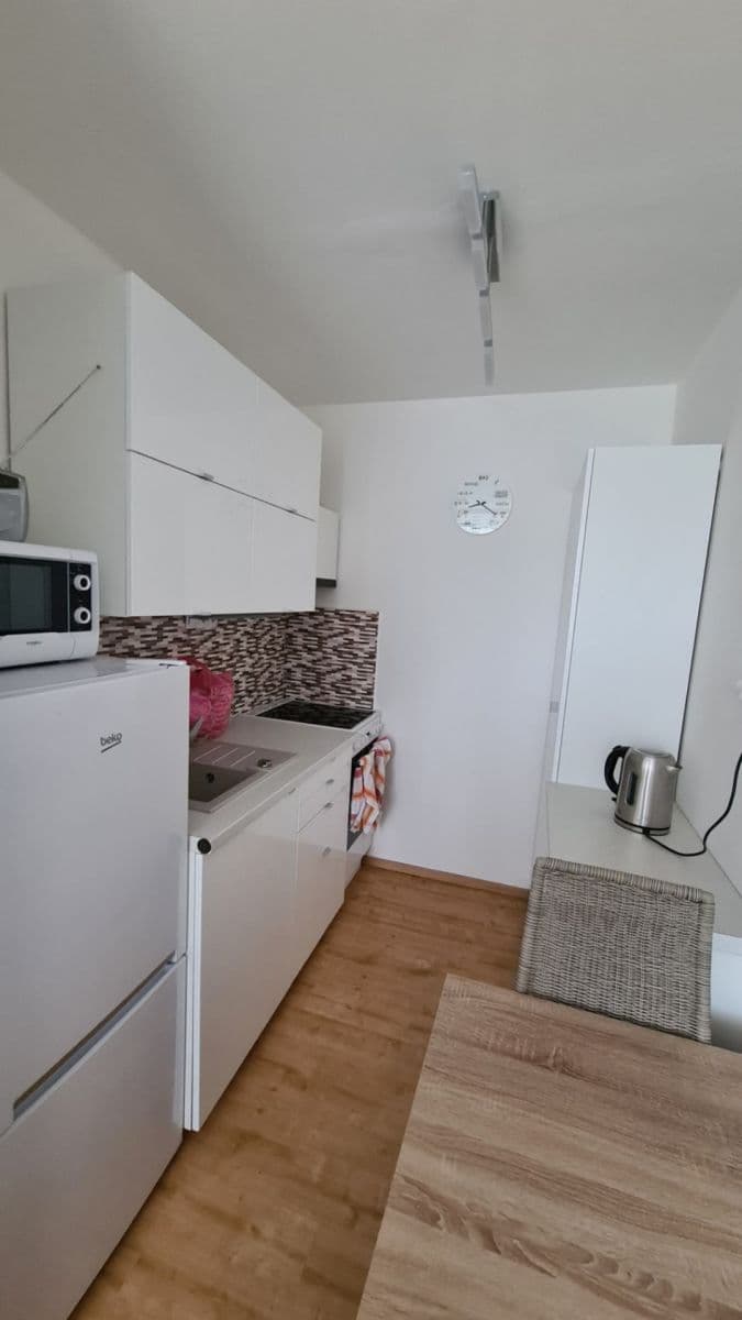 1 bedroom with open-plan kitchen flat to rent, 41 m², Šimůnkova, Prague, Prague 1 bedroom with open-plan kitchen flat to rent, 41 m², Šimůnkova, Prague, Prague