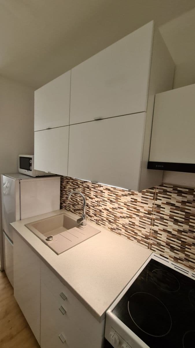 1 bedroom with open-plan kitchen flat to rent, 41 m², Šimůnkova, Prague, Prague 1 bedroom with open-plan kitchen flat to rent, 41 m², Šimůnkova, Prague, Prague