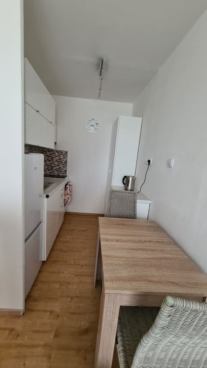 1 bedroom with open-plan kitchen flat to rent, 41 m², Šimůnkova, Prague, Prague 1 bedroom with open-plan kitchen flat to rent, 41 m², Šimůnkova, Prague, Prague