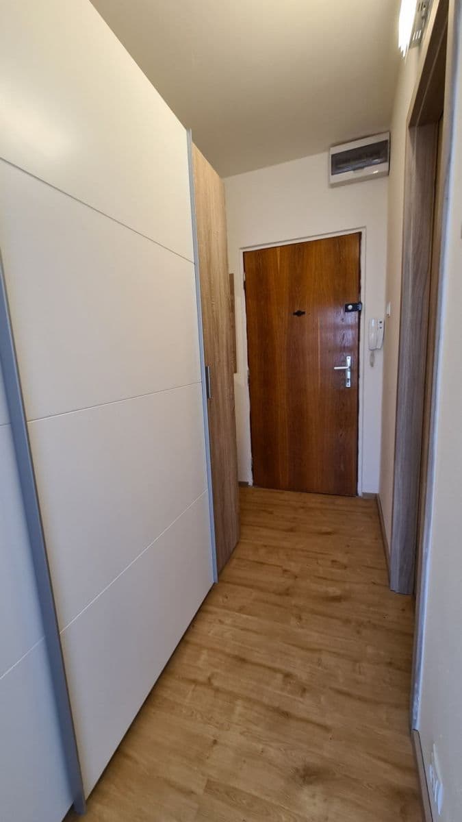 1 bedroom with open-plan kitchen flat to rent, 41 m², Šimůnkova, Prague, Prague 1 bedroom with open-plan kitchen flat to rent, 41 m², Šimůnkova, Prague, Prague