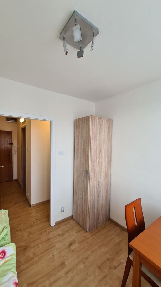 1 bedroom with open-plan kitchen flat to rent, 41 m², Šimůnkova, Prague, Prague 1 bedroom with open-plan kitchen flat to rent, 41 m², Šimůnkova, Prague, Prague