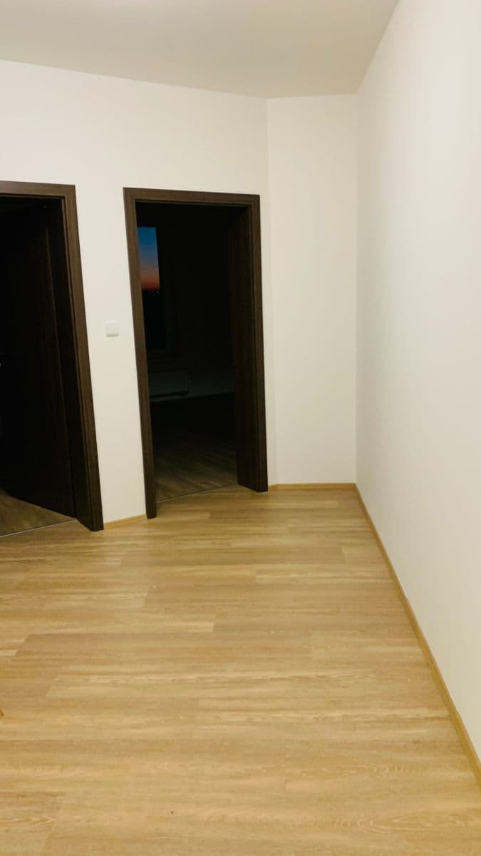 3 bedroom with open-plan kitchen flat to rent, 120 m², Medunova, Prague, Prague 3 bedroom with open-plan kitchen flat to rent, 120 m², Medunova, Prague, Prague