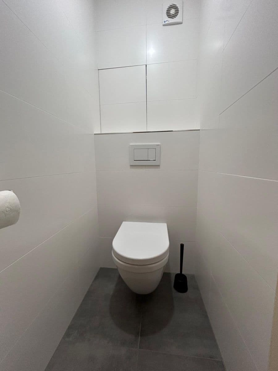 1 bedroom with open-plan kitchen flat to rent, 43 m², Brdičkova, Prague, Prague 1 bedroom with open-plan kitchen flat to rent, 43 m², Brdičkova, Prague, Prague
