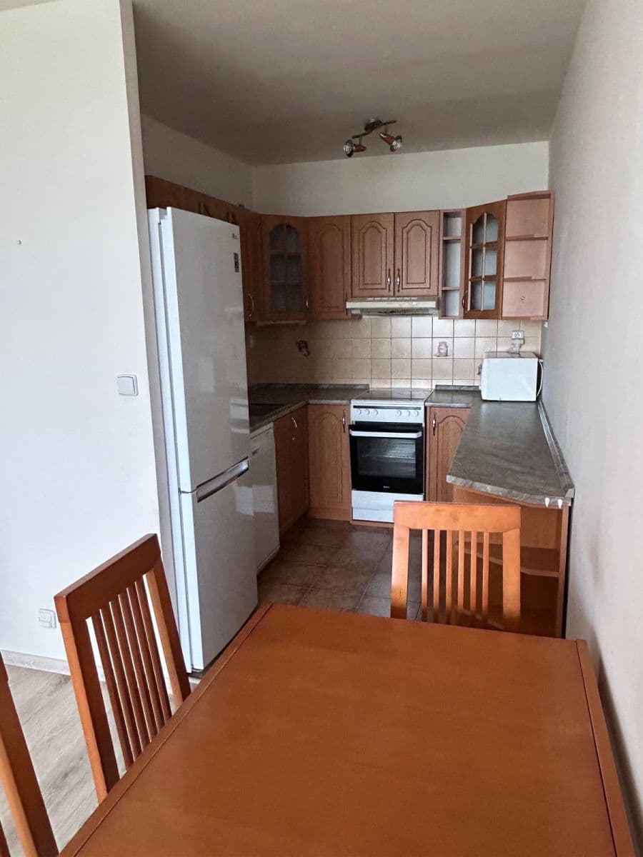 1 bedroom with open-plan kitchen flat to rent, 43 m², Brdičkova, Prague, Prague 1 bedroom with open-plan kitchen flat to rent, 43 m², Brdičkova, Prague, Prague
