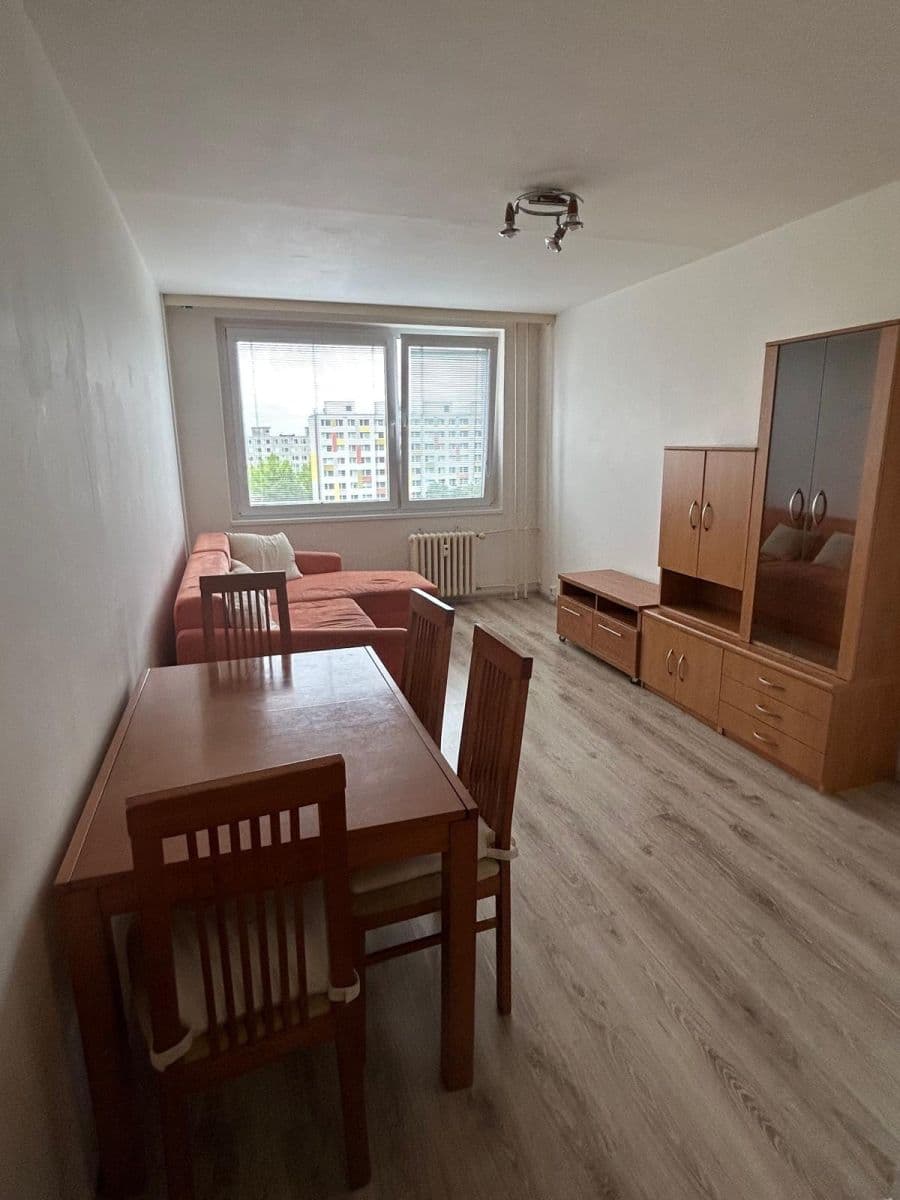 1 bedroom with open-plan kitchen flat to rent, 43 m², Brdičkova, Prague, Prague 1 bedroom with open-plan kitchen flat to rent, 43 m², Brdičkova, Prague, Prague