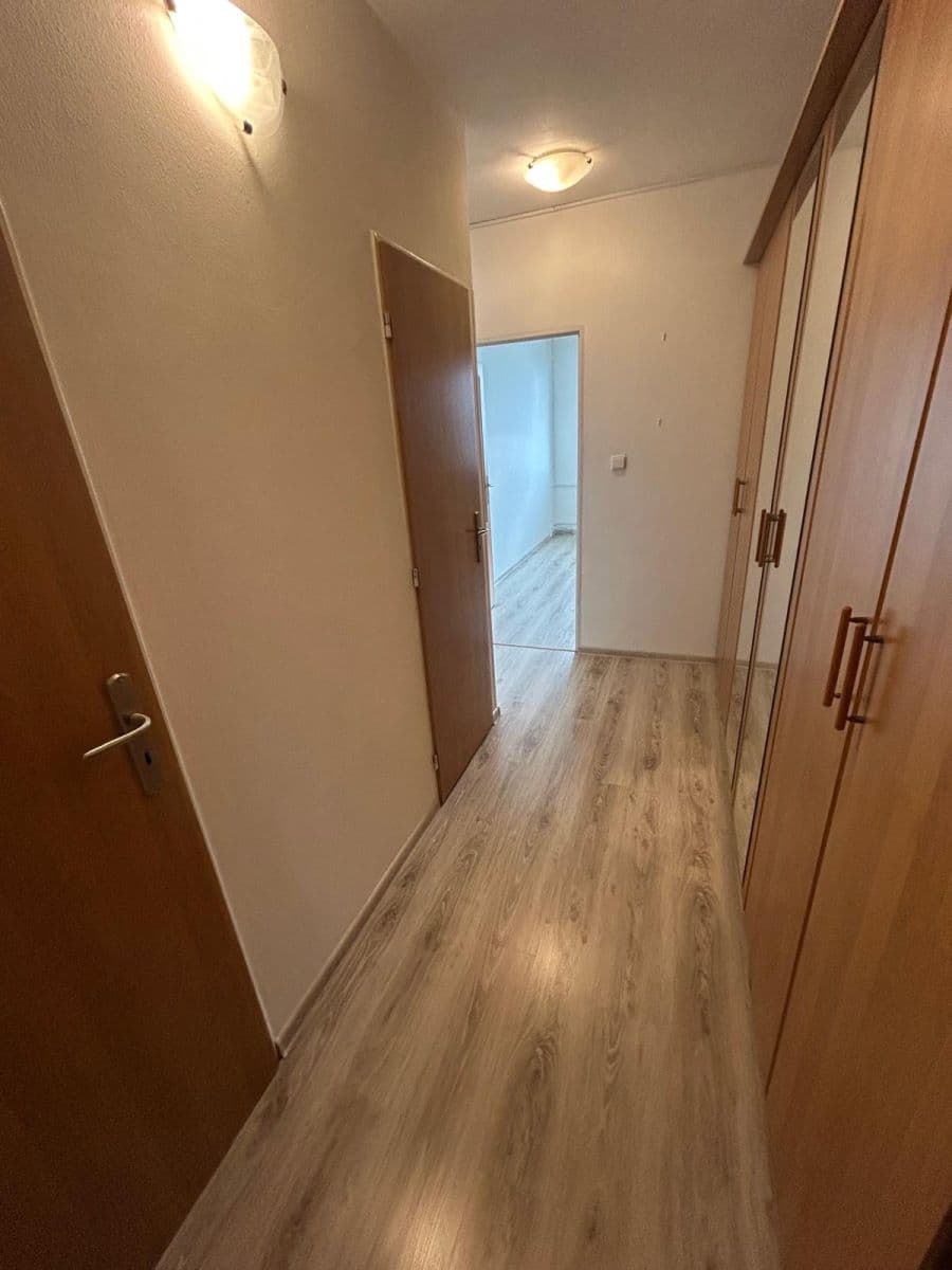 1 bedroom with open-plan kitchen flat to rent, 43 m², Brdičkova, Prague, Prague 1 bedroom with open-plan kitchen flat to rent, 43 m², Brdičkova, Prague, Prague