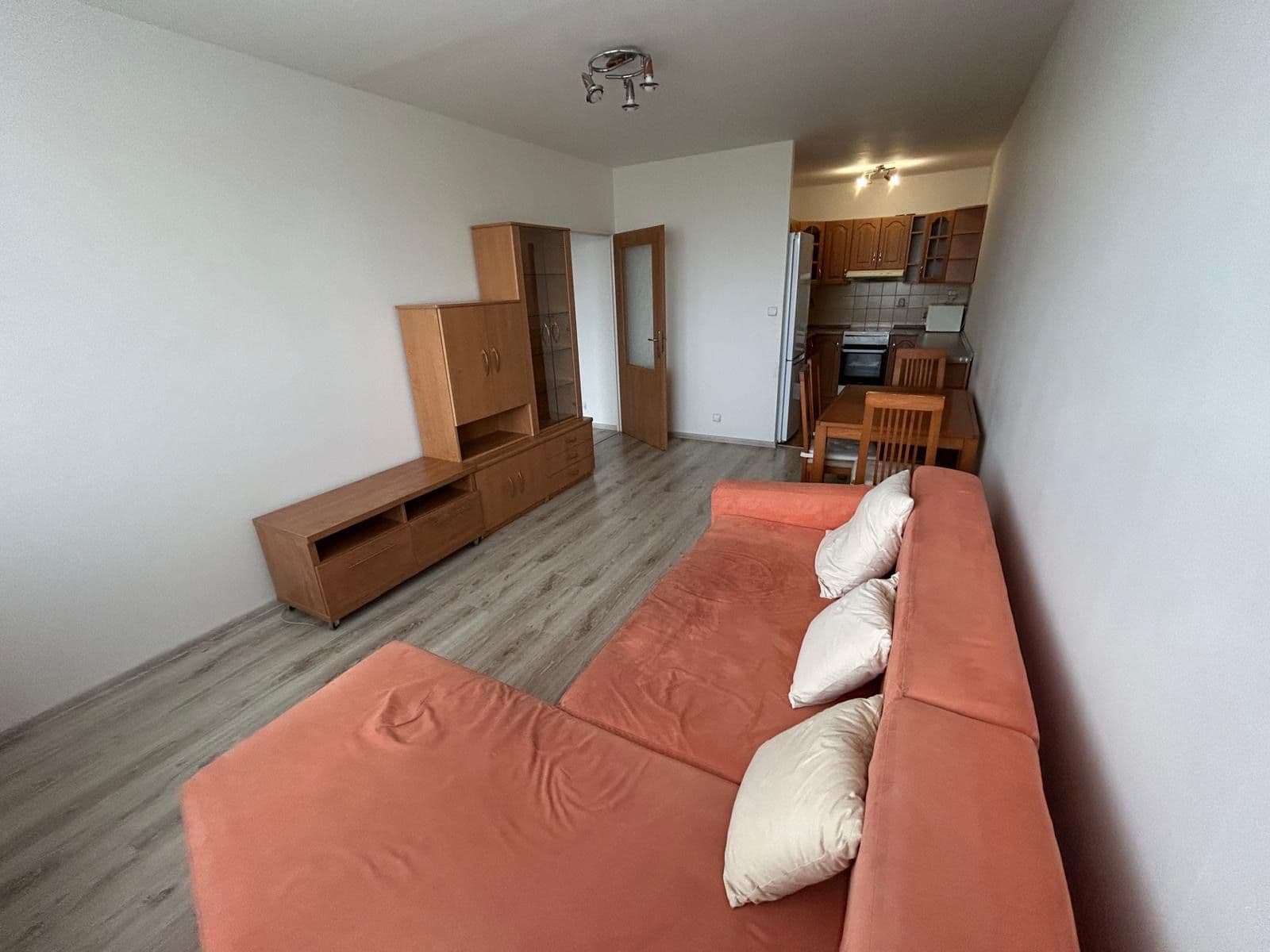 1 bedroom with open-plan kitchen flat to rent, 43 m², Brdičkova, Prague, Prague 1 bedroom with open-plan kitchen flat to rent, 43 m², Brdičkova, Prague, Prague