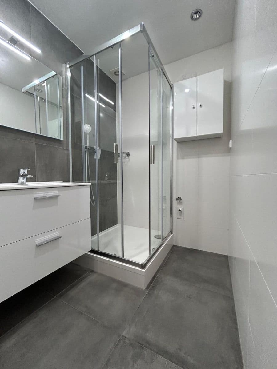 1 bedroom with open-plan kitchen flat to rent, 43 m², Brdičkova, Prague, Prague 1 bedroom with open-plan kitchen flat to rent, 43 m², Brdičkova, Prague, Prague