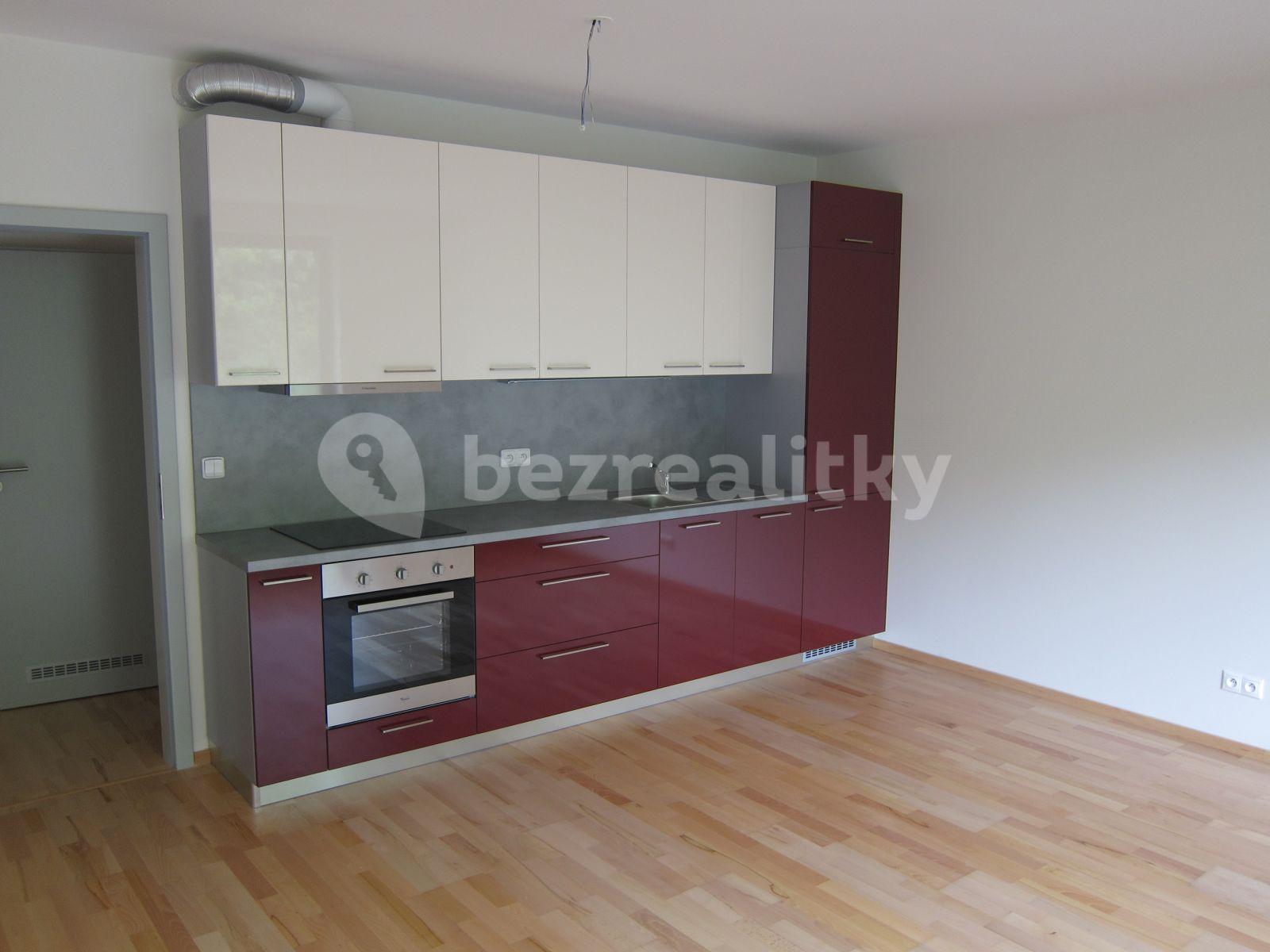 1 bedroom with open-plan kitchen flat to rent, 52 m², U Michelského mlýna, Prague, Prague