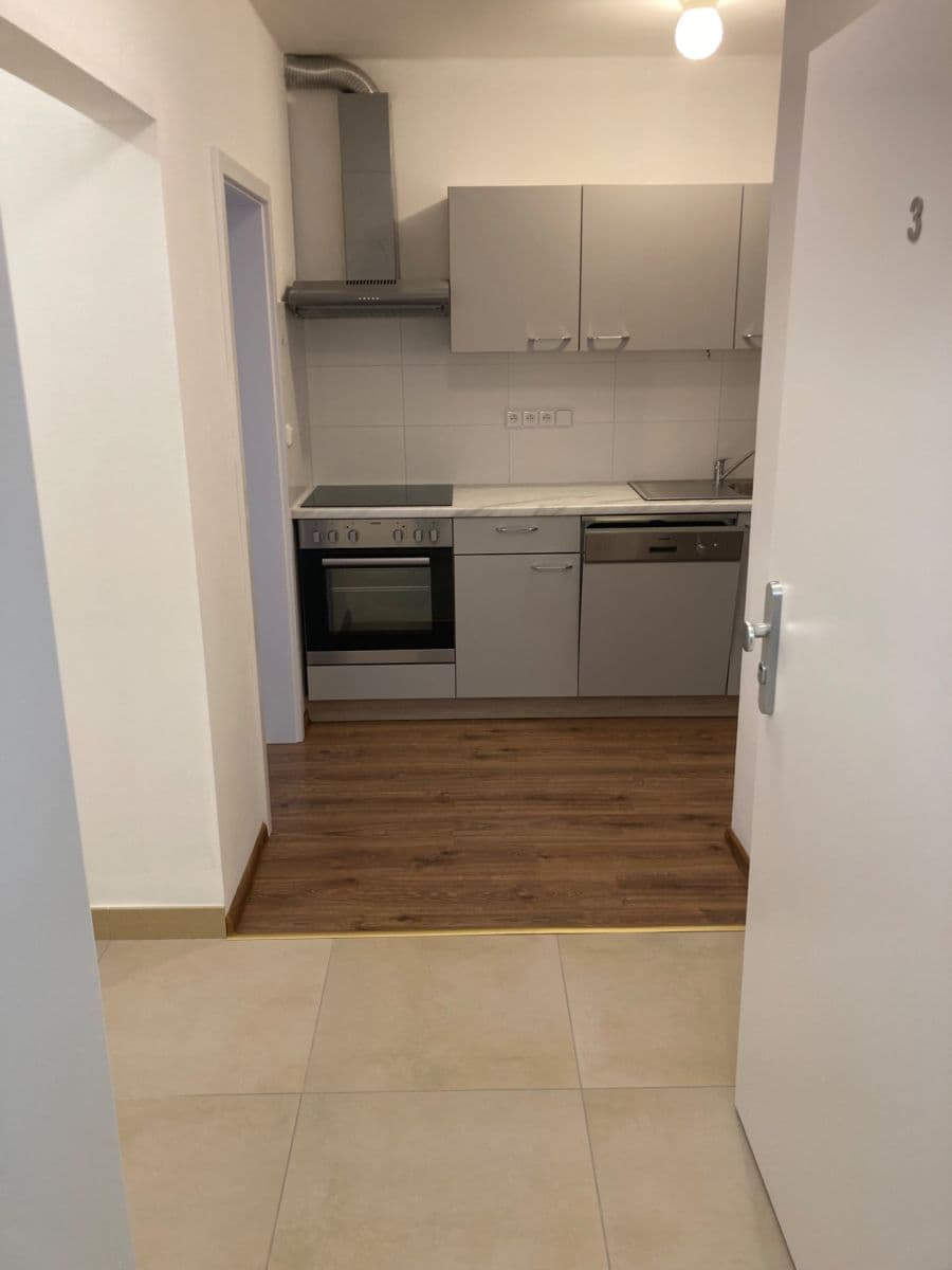 1 bedroom with open-plan kitchen flat to rent, 42 m², Pod Altánem, Prague, Prague 1 bedroom with open-plan kitchen flat to rent, 42 m², Pod Altánem, Prague, Prague