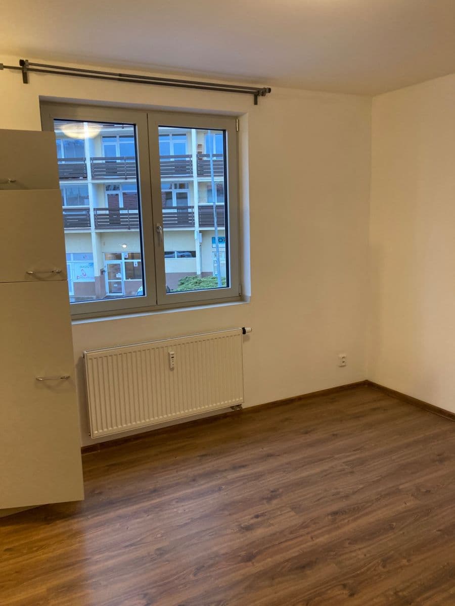 1 bedroom with open-plan kitchen flat to rent, 42 m², Pod Altánem, Prague, Prague 1 bedroom with open-plan kitchen flat to rent, 42 m², Pod Altánem, Prague, Prague