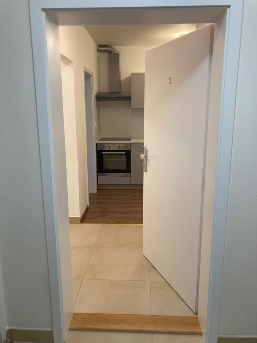 1 bedroom with open-plan kitchen flat to rent, 42 m², Pod Altánem, Prague, Prague 1 bedroom with open-plan kitchen flat to rent, 42 m², Pod Altánem, Prague, Prague