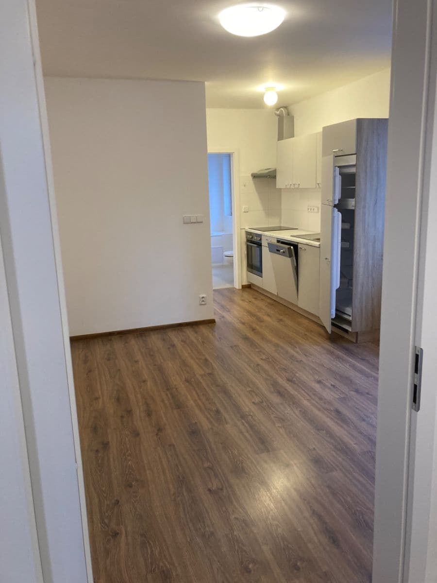 1 bedroom with open-plan kitchen flat to rent, 42 m², Pod Altánem, Prague, Prague 1 bedroom with open-plan kitchen flat to rent, 42 m², Pod Altánem, Prague, Prague