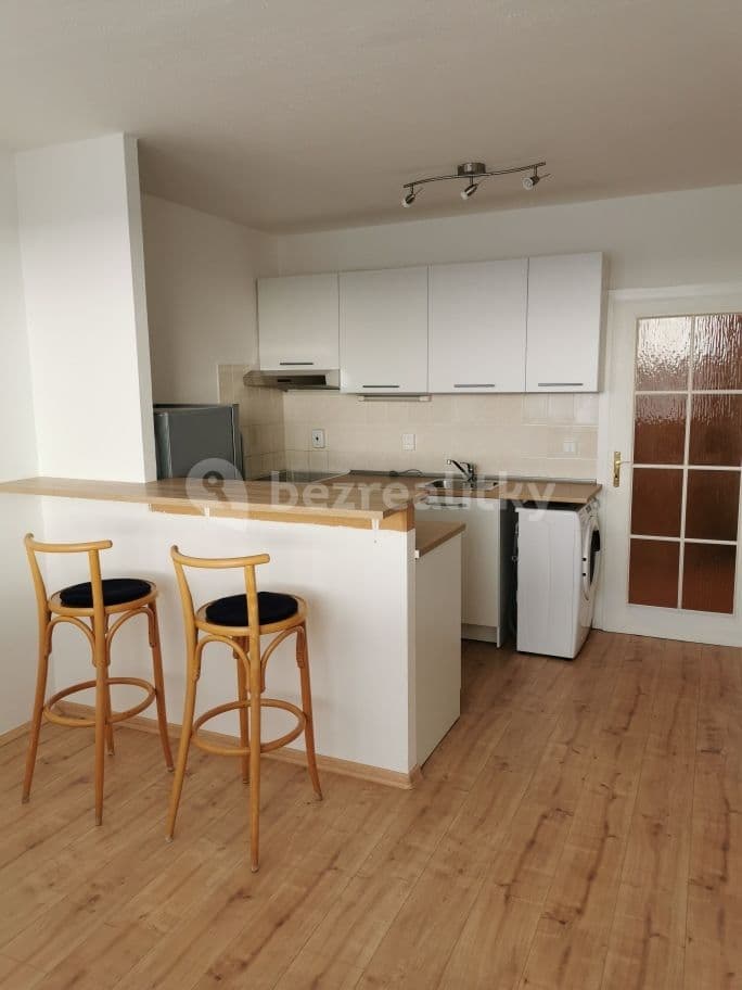 1 bedroom with open-plan kitchen flat to rent, 46 m², Roškotova, Prague, Prague 1 bedroom with open-plan kitchen flat to rent, 46 m², Roškotova, Prague, Prague